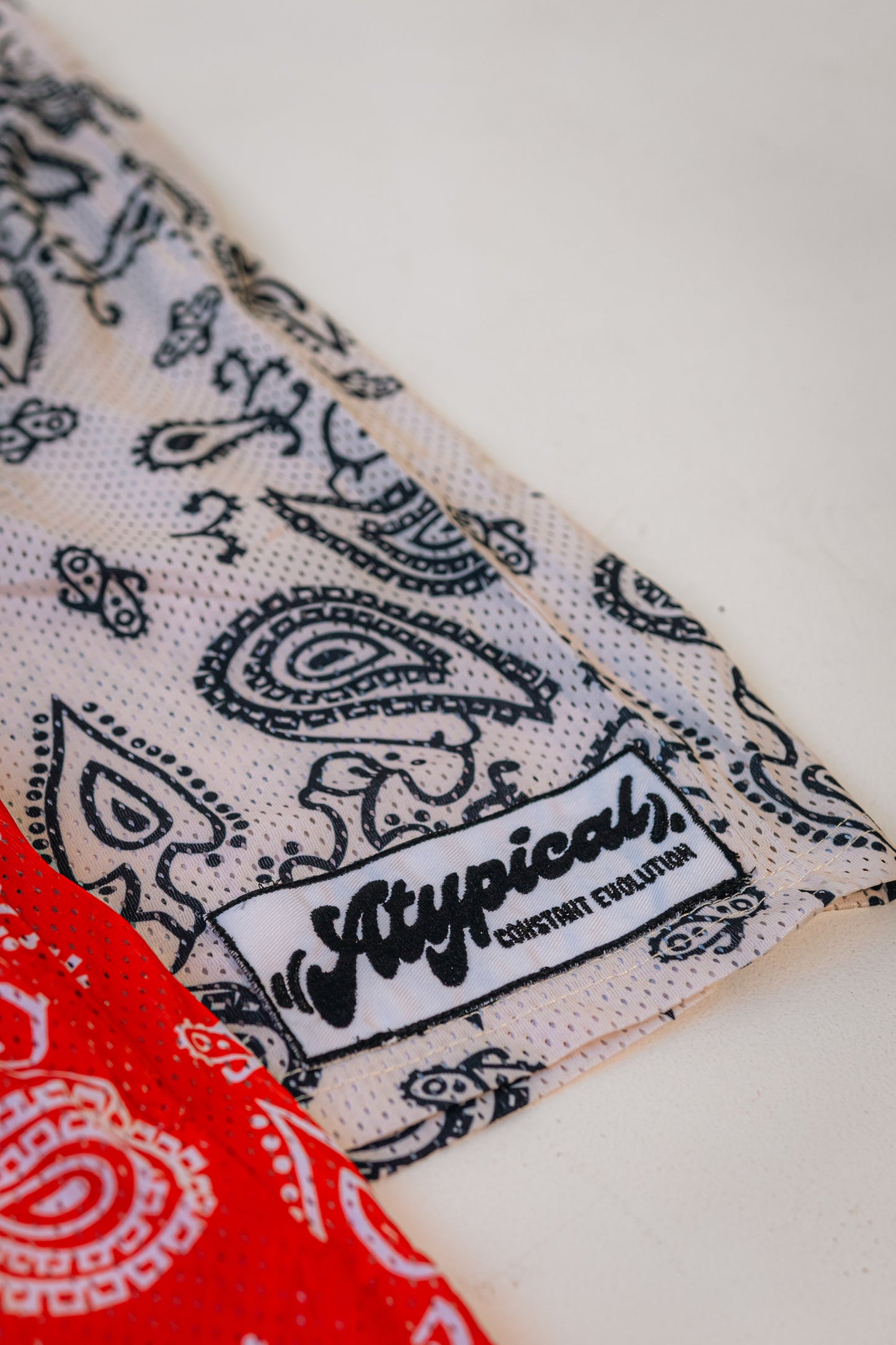Constant Evolution Paisley Shorts (US)