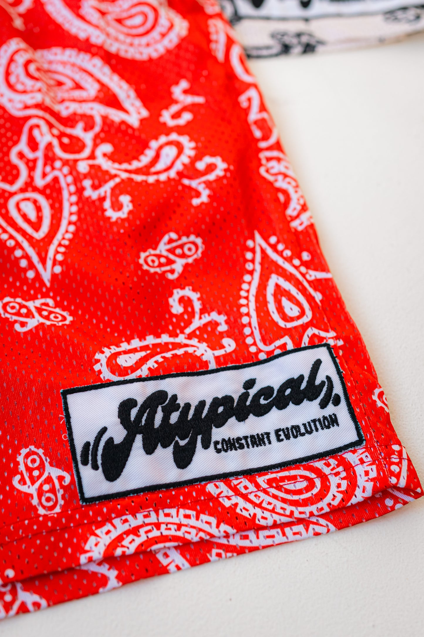 Constant Evolution Paisley Shorts (US)