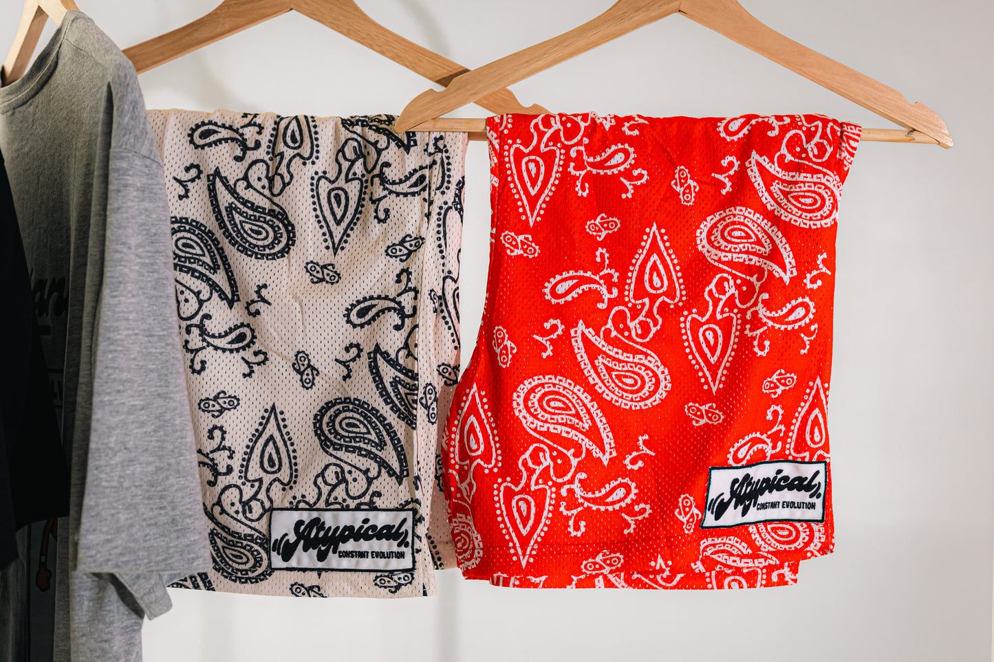 Constant Evolution Paisley Shorts (US)