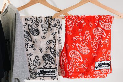 Constant Evolution Paisley Shorts (US)