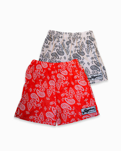 Constant Evolution Paisley Shorts (US)